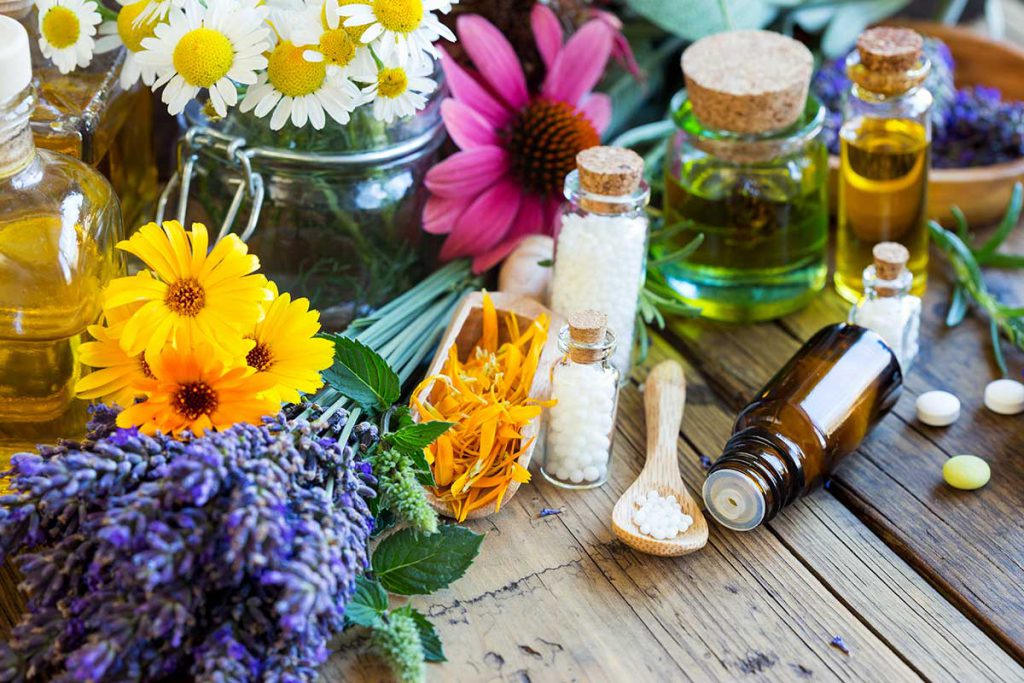 Verschiedene Pflanzen, Globuli und Tinkturen auf Holztisch als Symbolbild für Homöopathie